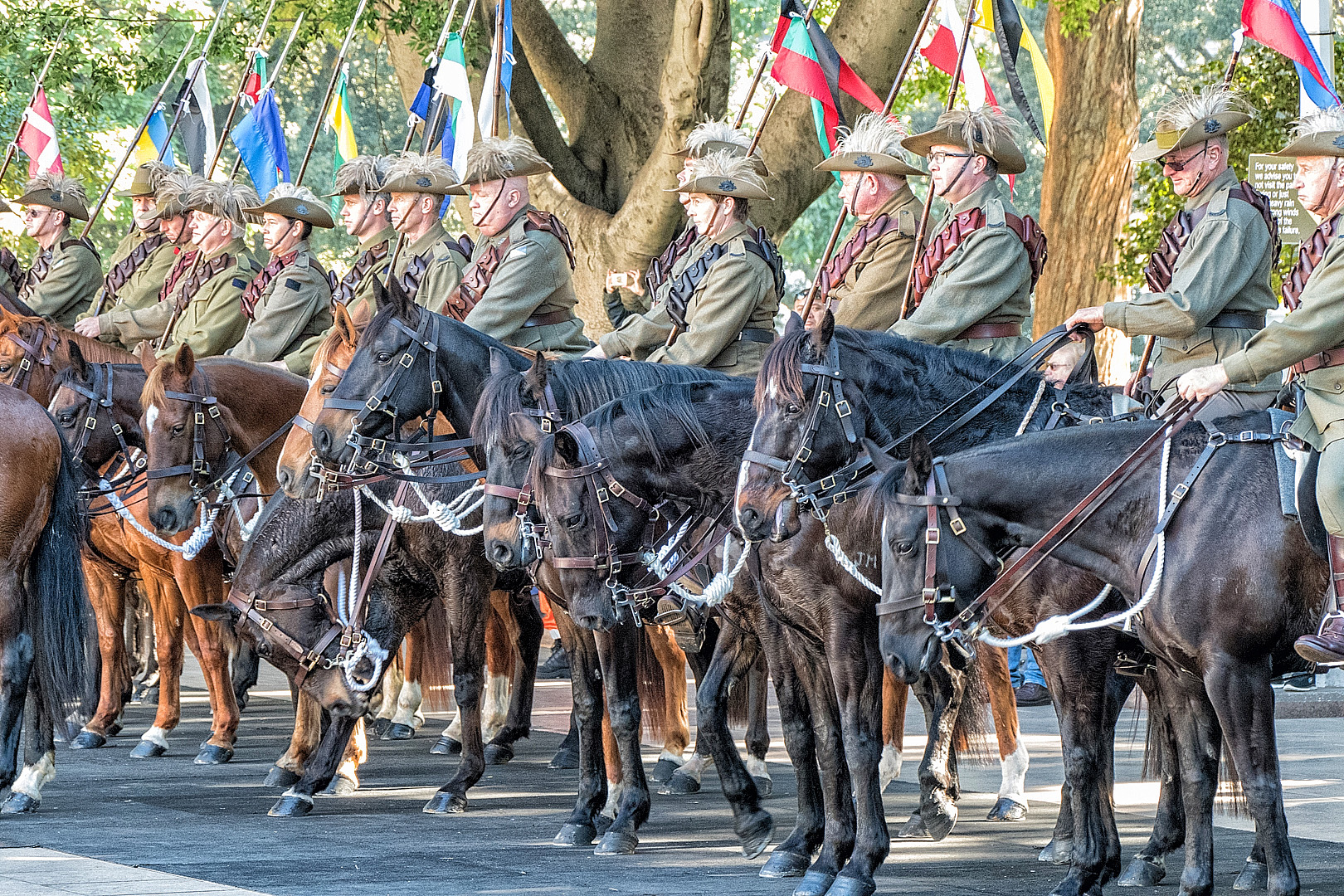2017 July; Outing Reserve Forces Day Parade, Hyde Park Norths