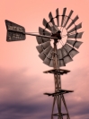 Steve Mullarkey - Old windmill