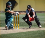 Ray Papulis Cricket 6