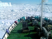 Yvonne Dodwel  In The Ice Ross Sea