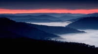 Tim Collisbird   Valley Mists