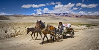 Merit_Chris_Chau_Tibetan Nomad
