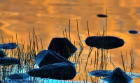 Jim_Millar_Lakes_Edge_Sunset_1