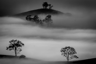 jim_wilson_morning_fog_1