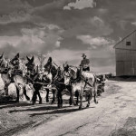 Winner Greg Lake Mono Print A Amish Farmer & His Faithful Muels 2