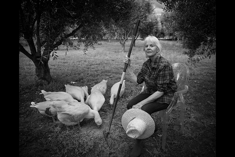 Julie Spencer The Olive Farmer 