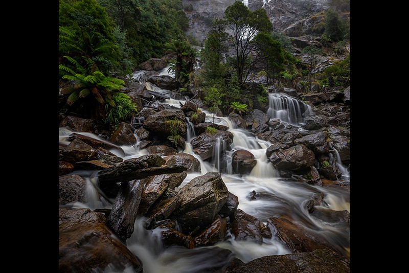 Faranak Salehy  St Columba Falls 