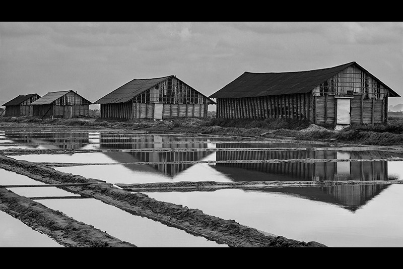 Niki Pollock  Salt Fields 