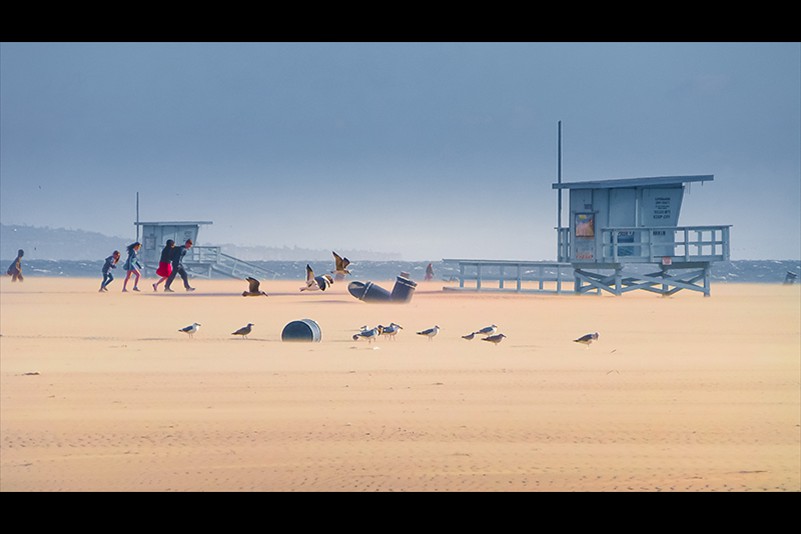 2024 Digital Colour of the Year Strat Mairs Wind blown